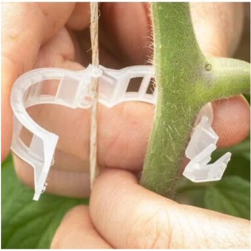 Trellis Clip For Plants And Crops - Pack Of 500 Pieces