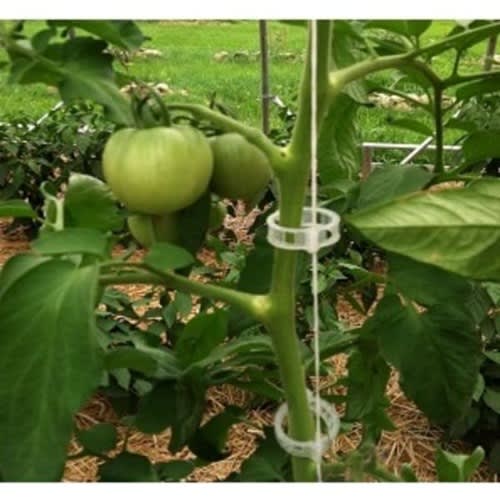 Trellis Clip For Plants And Crops - Pack Of 500 Pieces