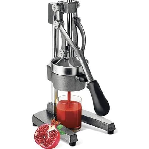 Juice Extractor -Manual Press
