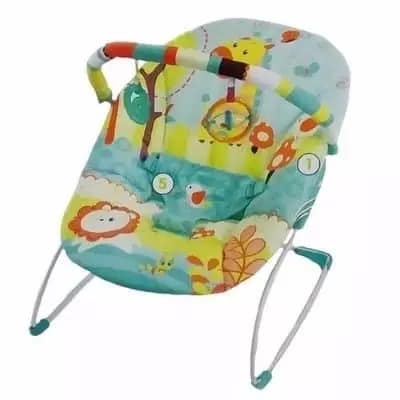 Music & Soothe Baby Bouncer