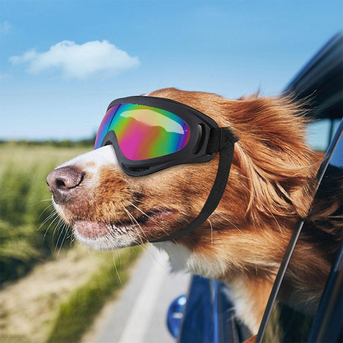 Shatterproof Dog Glasses Petsafe Pupshield Adjustable Uv Dog for Small Multicolor