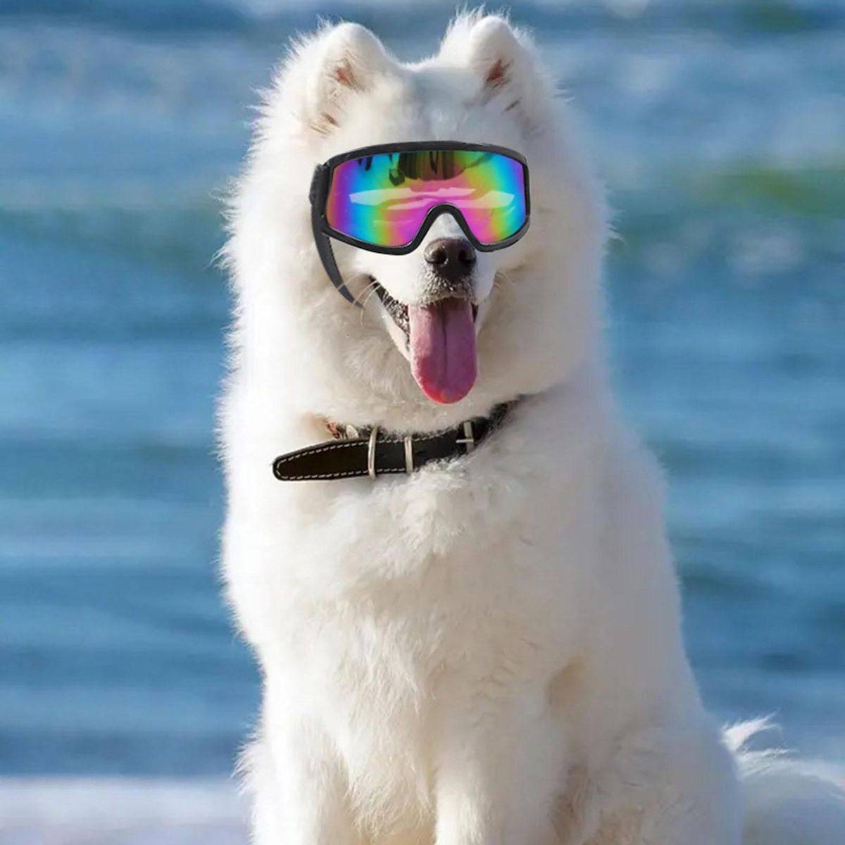 Shatterproof Dog Glasses Petsafe Pupshield Adjustable Uv Dog for Small Multicolor
