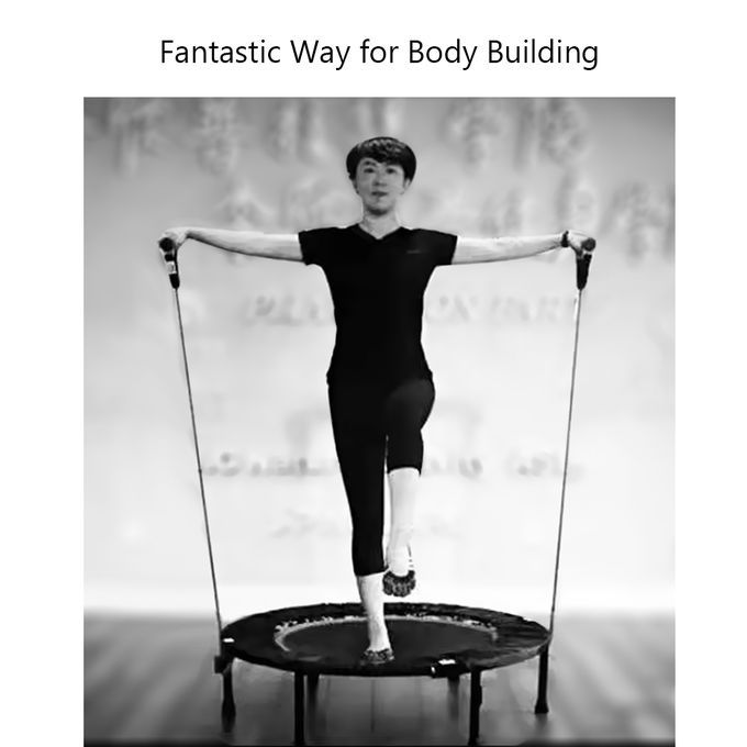 Adult Fitness Bouncing Bed Home Use Indoor Foldable Jumping