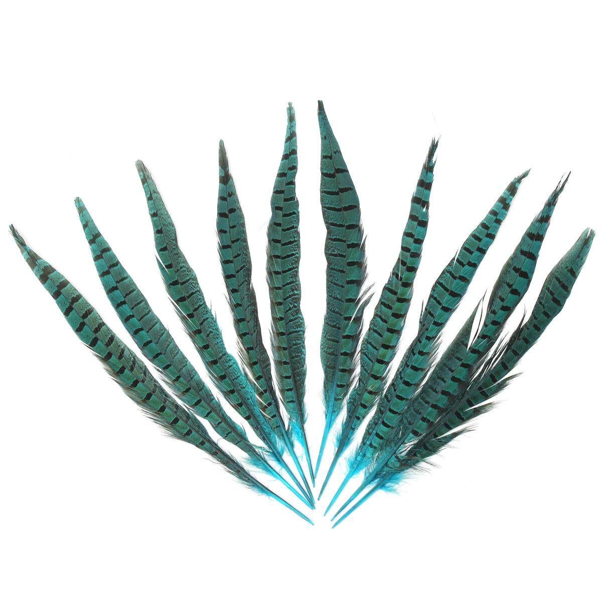 10Pcs Beautiful Pheasant Tail Feathers 12-14 Inch Long Costume Millinery Multicolor Blue Lake