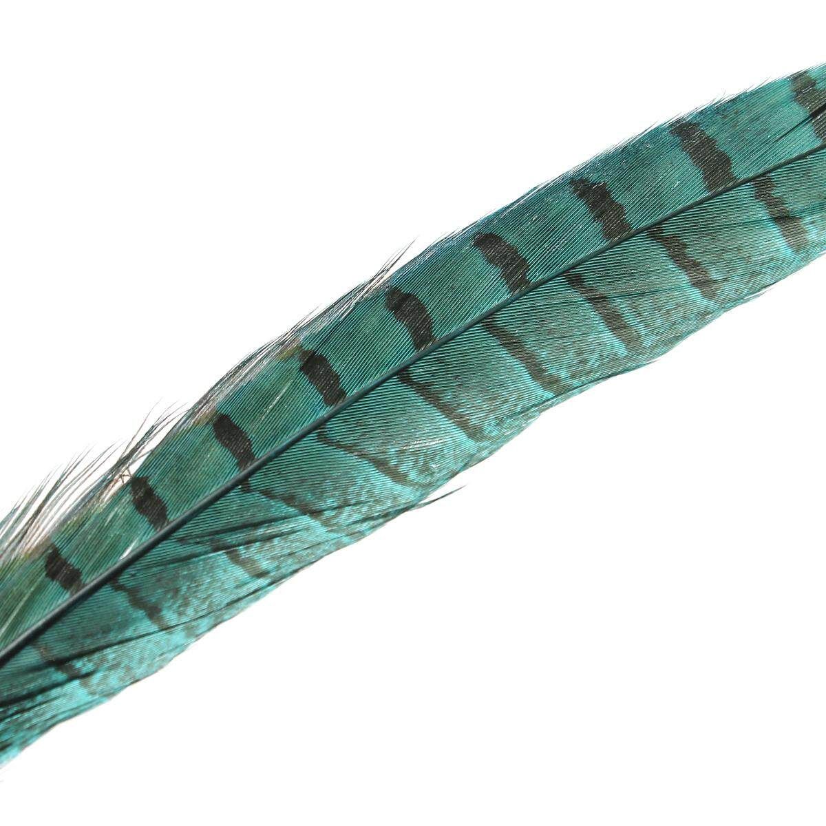 10Pcs Beautiful Pheasant Tail Feathers 12-14 Inch Long Costume Millinery Multicolor Blue Lake