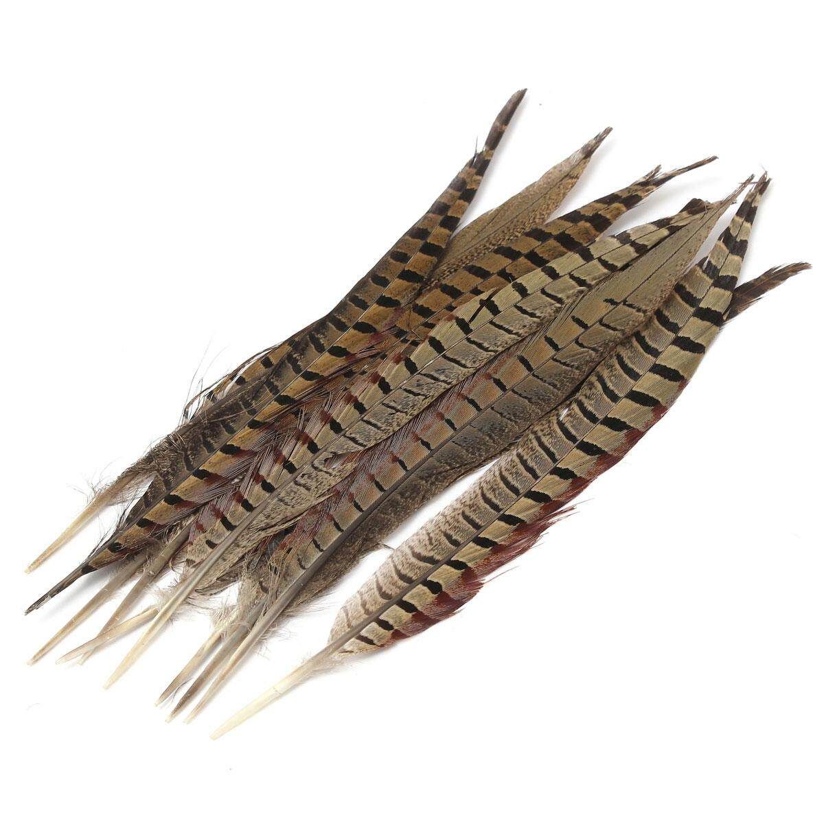 10Pcs Beautiful Pheasant Tail Feathers 12-14 Inch Long Costume Millinery Multicolor True Colors