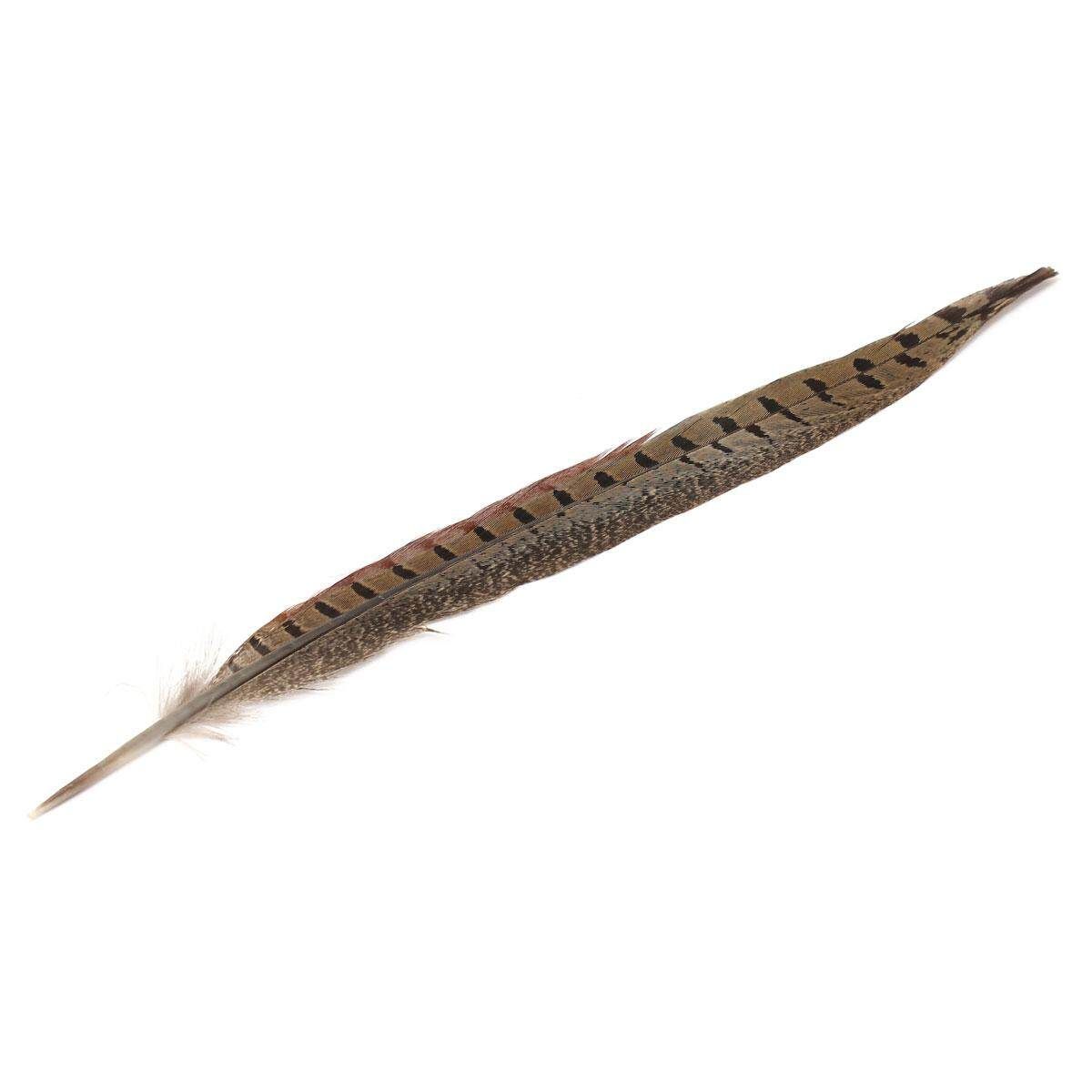10Pcs Beautiful Pheasant Tail Feathers 12-14 Inch Long Costume Millinery Multicolor True Colors