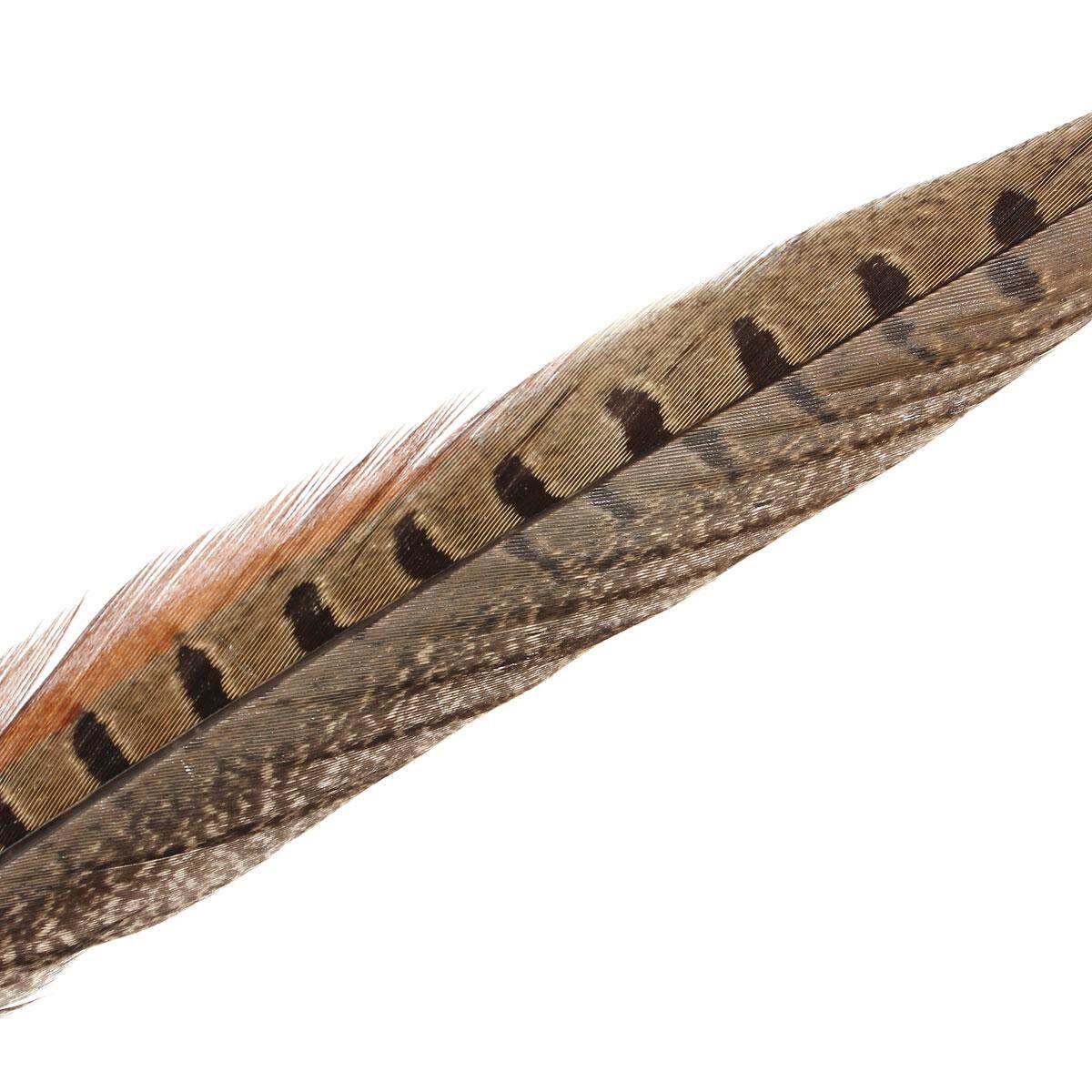 10Pcs Beautiful Pheasant Tail Feathers 12-14 Inch Long Costume Millinery Multicolor True Colors