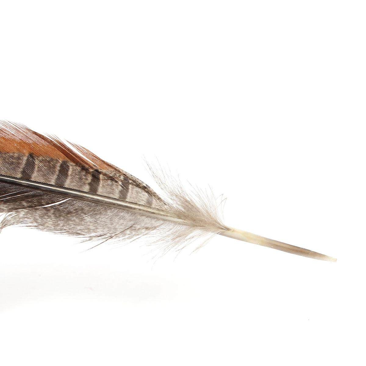 10Pcs Beautiful Pheasant Tail Feathers 12-14 Inch Long Costume Millinery Multicolor True Colors