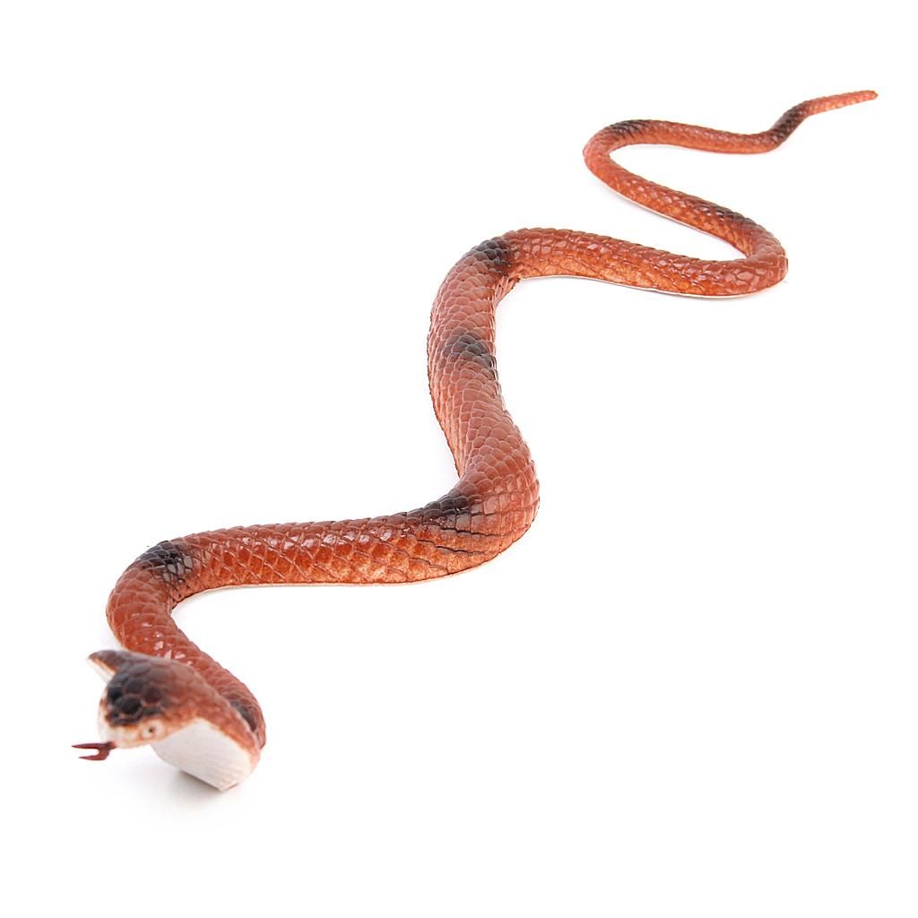 8" King  Snake Model Pretend Trick Toy Joke Halloween Prop