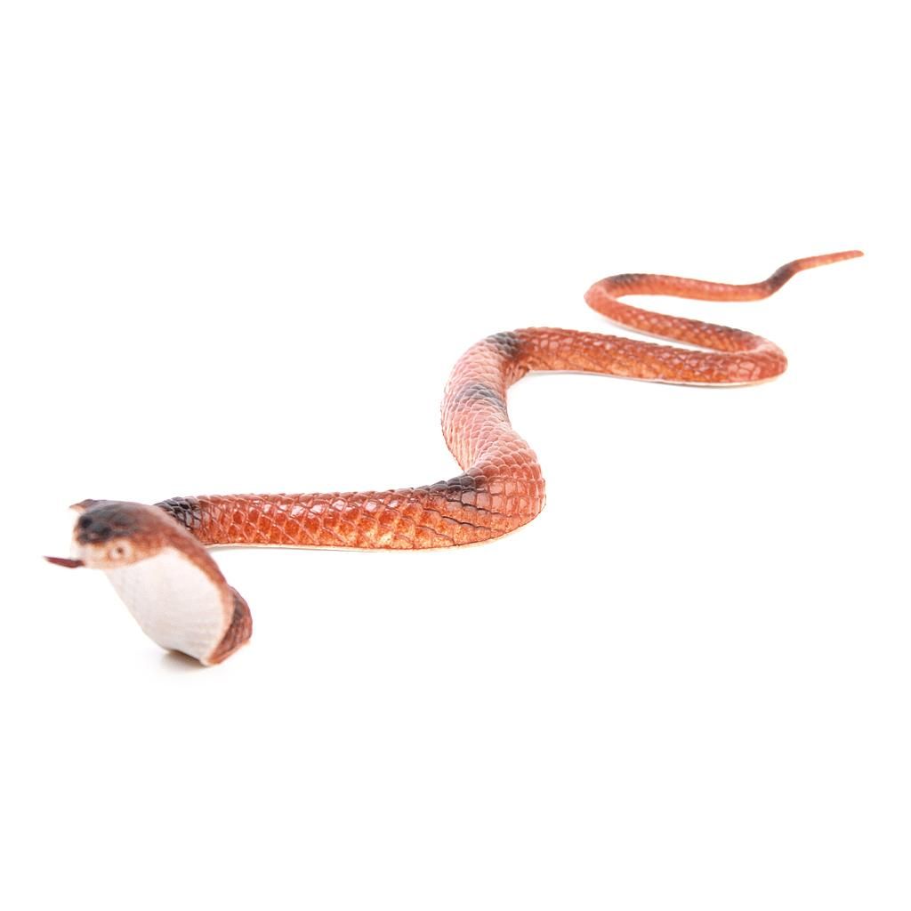 8" King  Snake Model Pretend Trick Toy Joke Halloween Prop