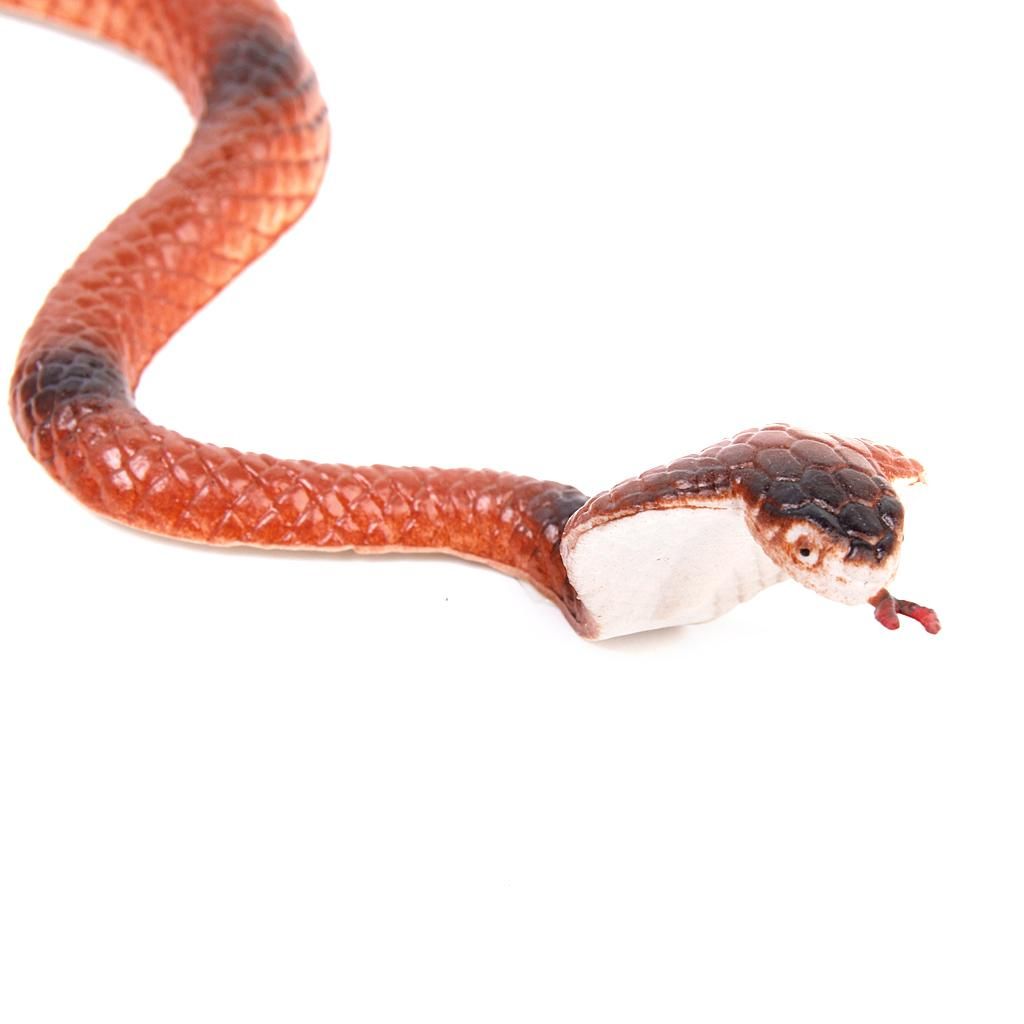 8" King  Snake Model Pretend Trick Toy Joke Halloween Prop