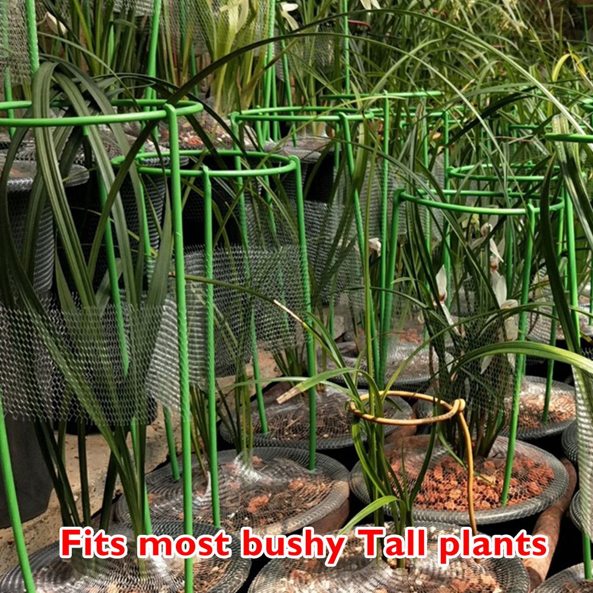Climbing Plant Support Stakes Tall Plant Support Rin-g Cage