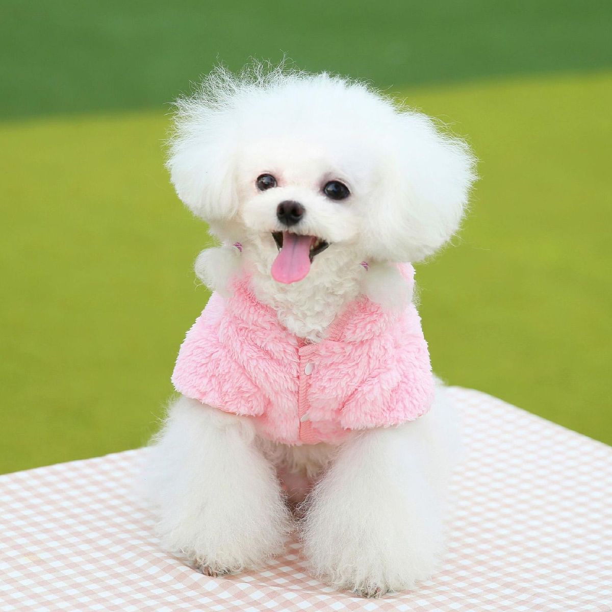 Dog Jacket Cartoon Pet Hoodie Jacket Winter Clothes Pink