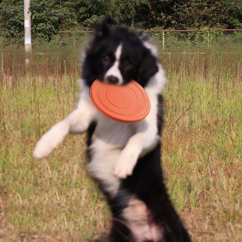 Silicone Dogs Game Flying Discs