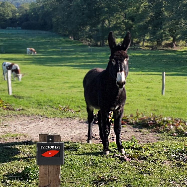 2 Pcs/Pack Solar Repeller Ranch Farm Wild Hawkeye Animal Repeller