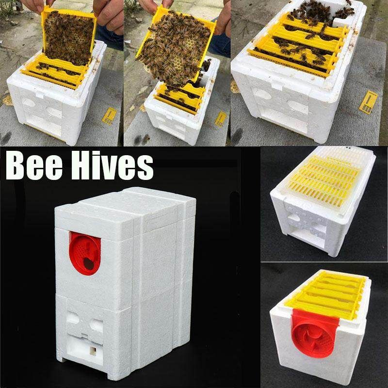 Harvest Bee Hives Beekeeping King Pollination Box Foam Frames Honeycomb Tool