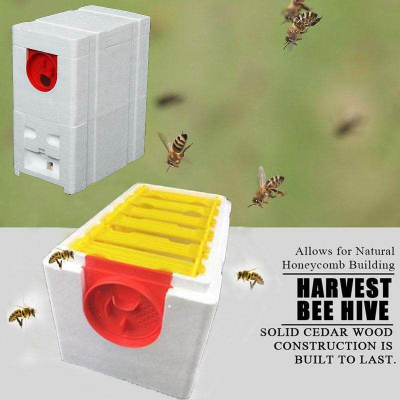 Harvest Bee Hives Beekeeping King Pollination Box Foam Frames Honeycomb Tool