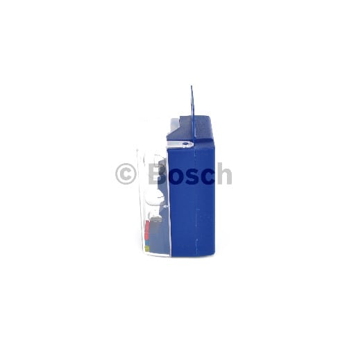 Mini Box Bulbs  1987301102-C4R