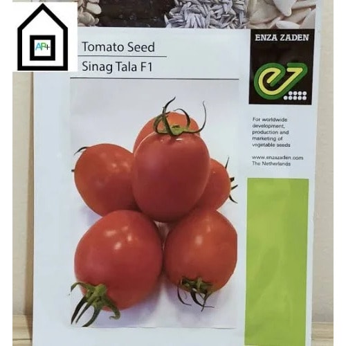 Sinag Tala F1 Hybrid Tomato Seeds - 1500 Seeds