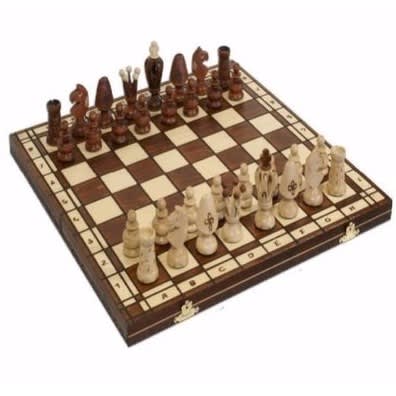 Brains Chess Magnetic Board