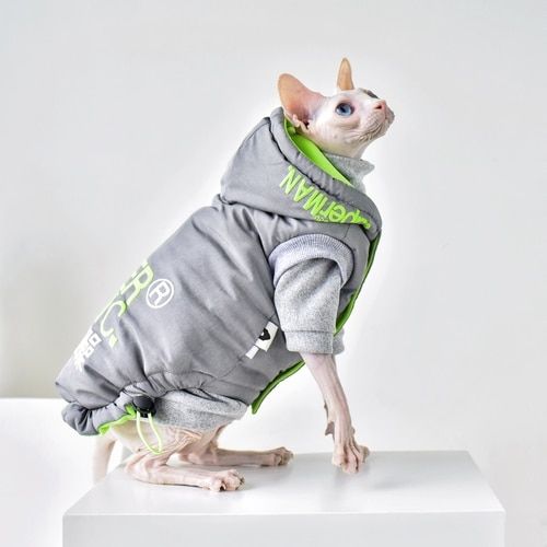 Sphynx Cat Clothes Extreme Jacket Windproof Hairless Cat Clothes-Coat-Silver