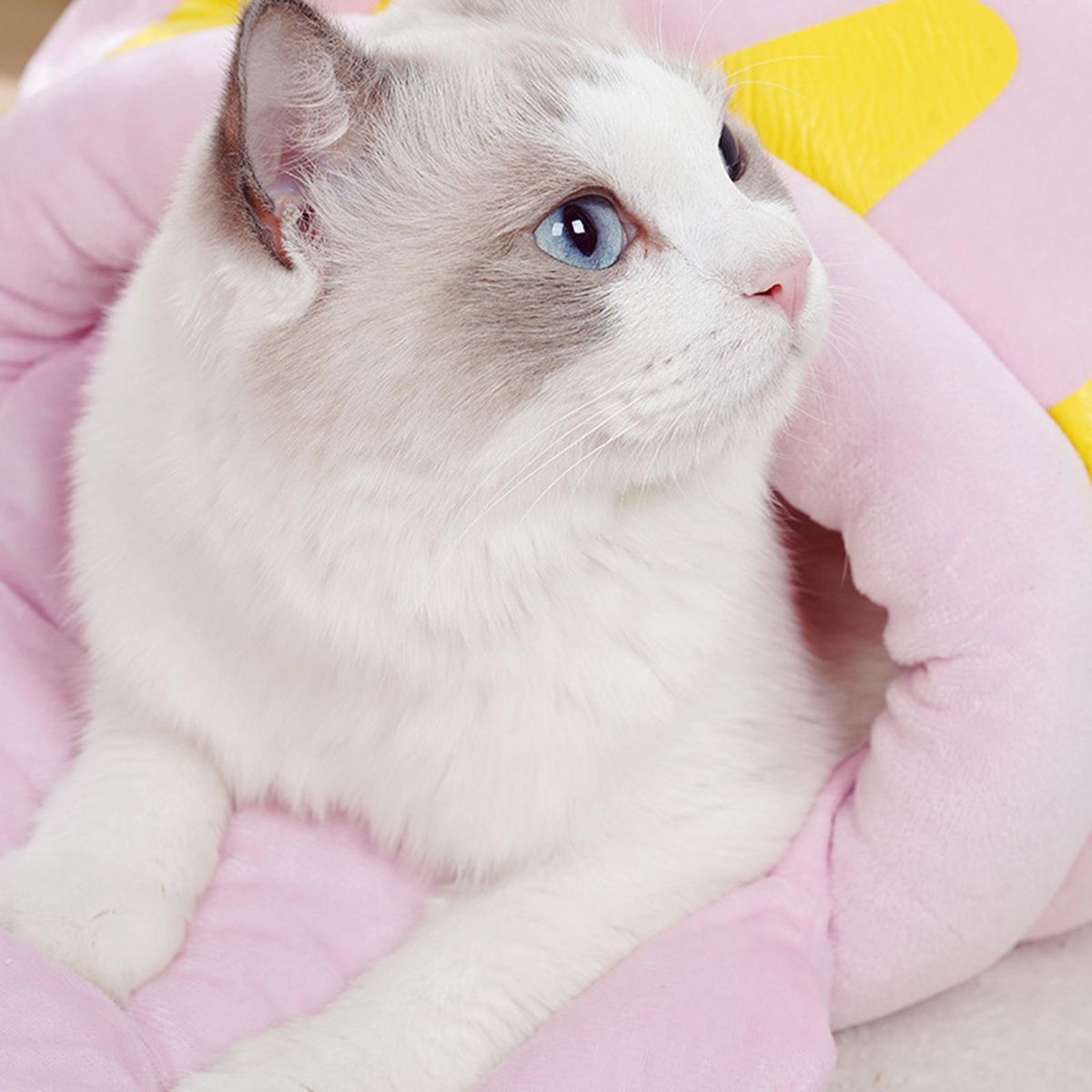 Cat Kennel Honey Pot Shape Dog Cat Plush Cozy Cave Bed Pink