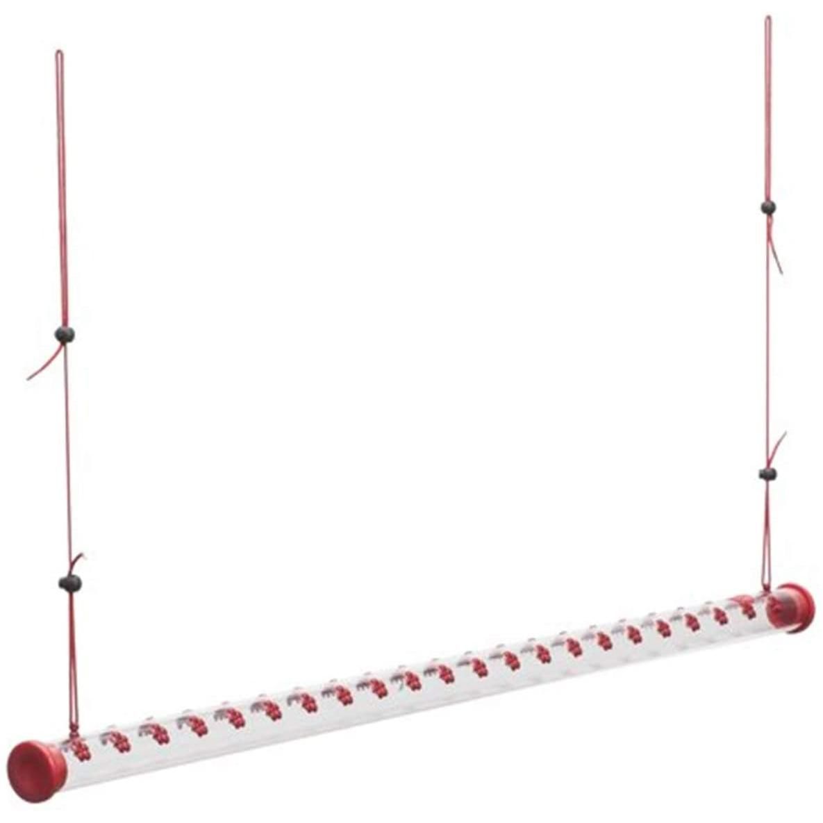 Bird Feeder with Bright Red Transparent Carbonate Tube
