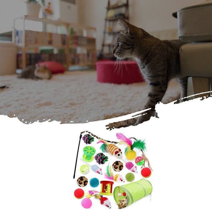 21pcs Cat Toy Two-way Tunnel Fish Interactive Feather Pusher Fluffy Rat Colorful