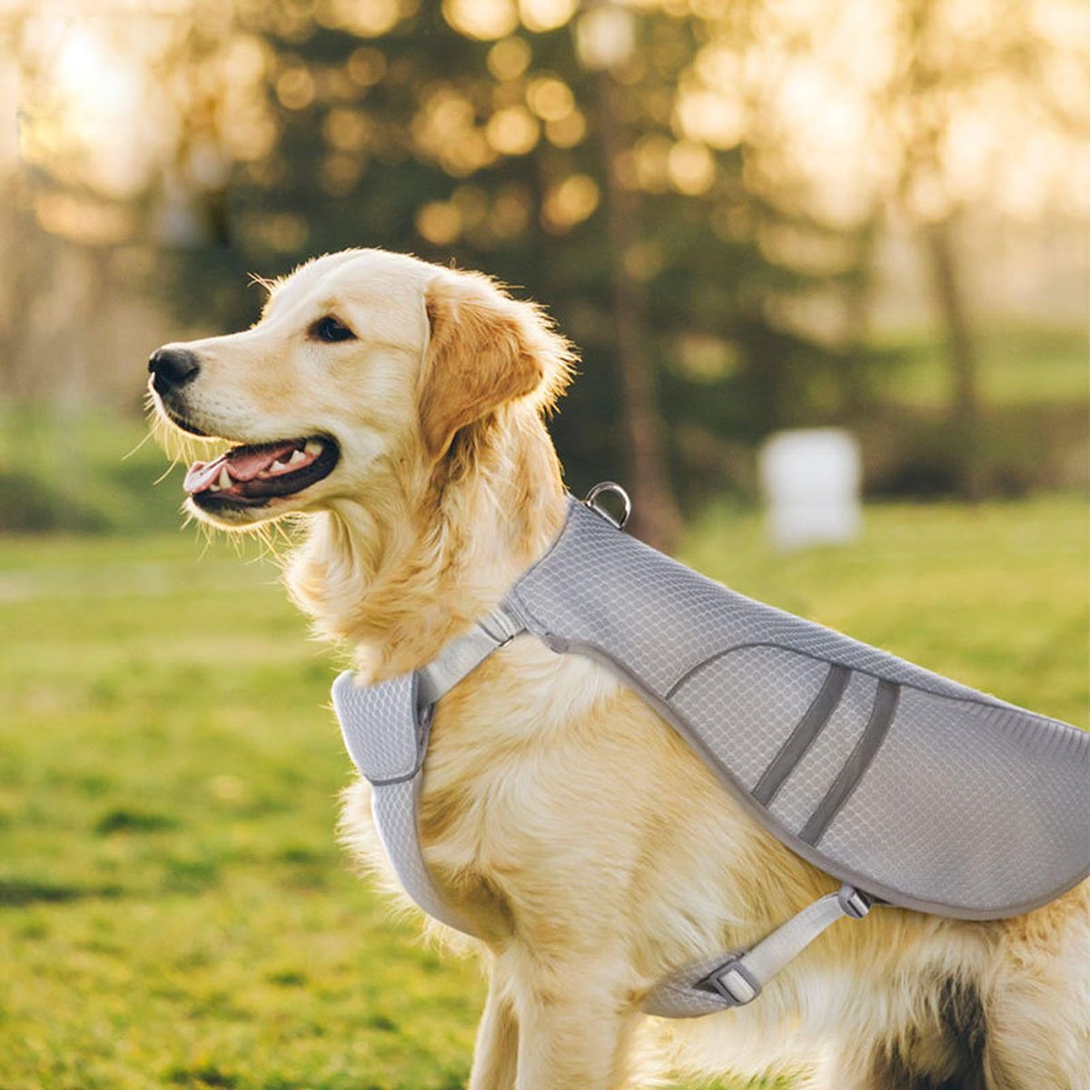 Dog Cooling Vest Harness Pet Cooling Shirt Evaporative For Outdoor XL