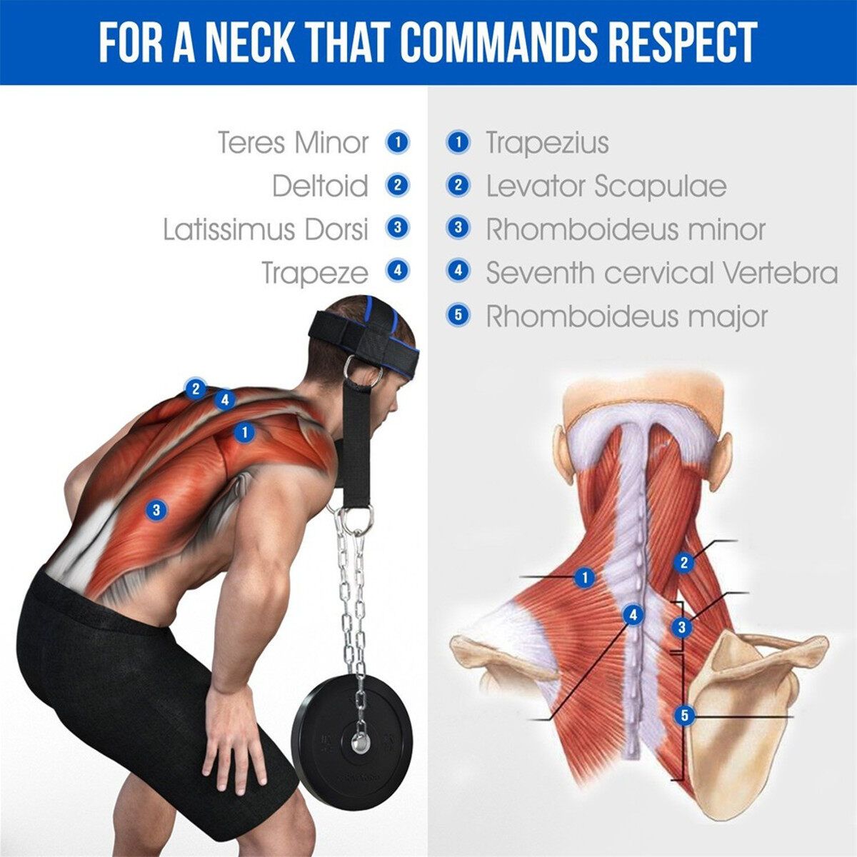 Resilient Trainer Weight Lifting Strength Neck Muscles Builder Adjustable Chain Belt Head Harness Gym Fitness