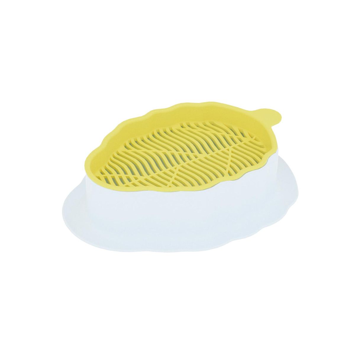 Cats Grass  Tray With Drain Holes For White Yellow
