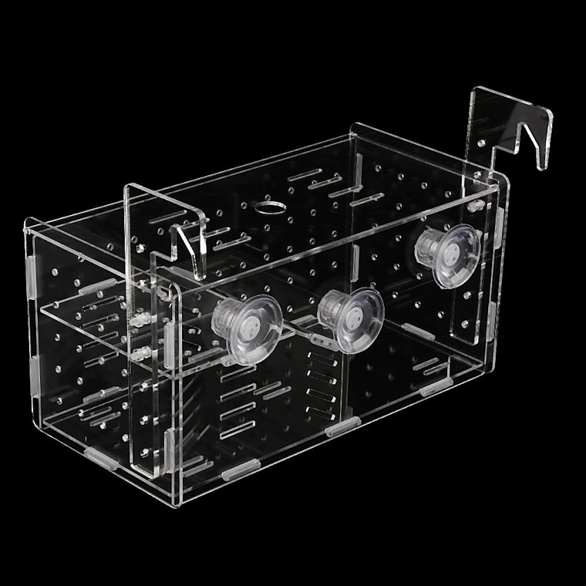 Aquarium Hatchery    Breeding Box Tank   Breeder
