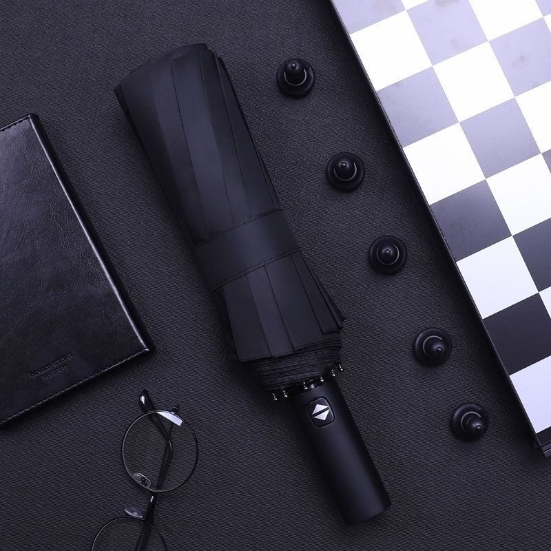Windproof  Waterproof Sunproof 10 Rib  Automatic Umbrella