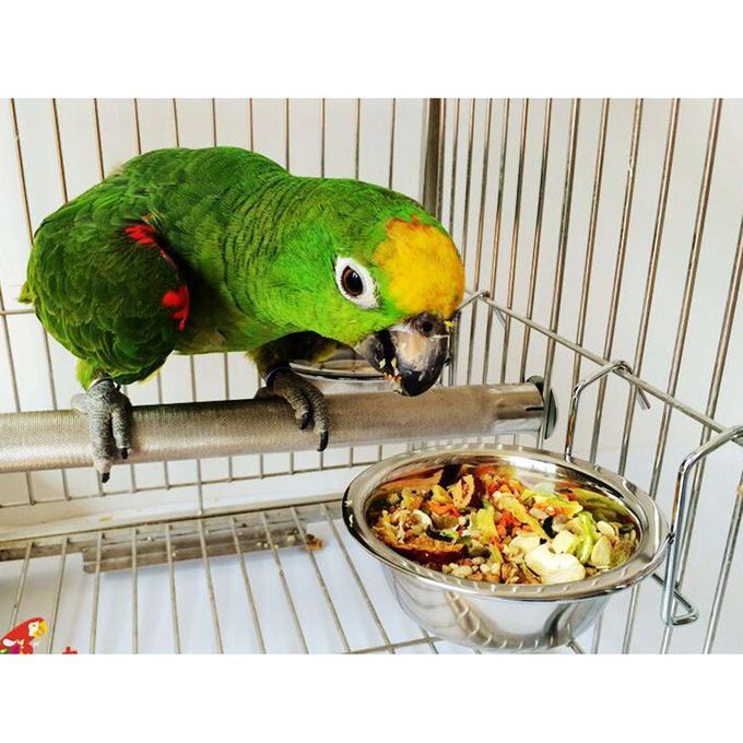 Stainless Steel Food Water Cup Feeder Feeding Dish For Parrot Bird