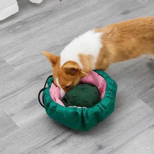 Lotus Shape Pet Dog Snuffle Mat Nose Smell Training Blanket Sniffing Pad Slow Feeding Bowl Food Dispenser Carpet