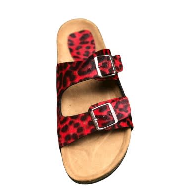 Men Animal Skin Two-Buckle Birkenstock Slide - Red