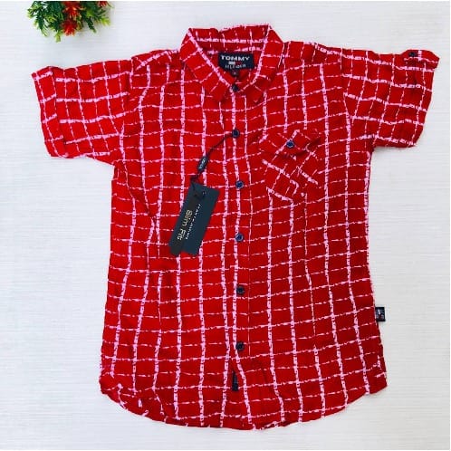 Boys Short Sleeve Button Down Shirt-Red Check