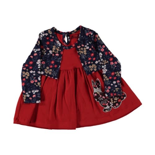 Baby Girl  Flowered Dress -  Red