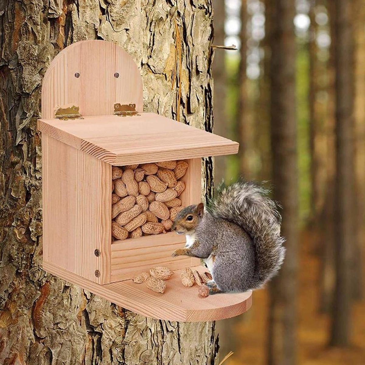 Squirrel Food Container Natural Wooden Squirrel Feeder Fine Pet Birdhouse Wooden Color