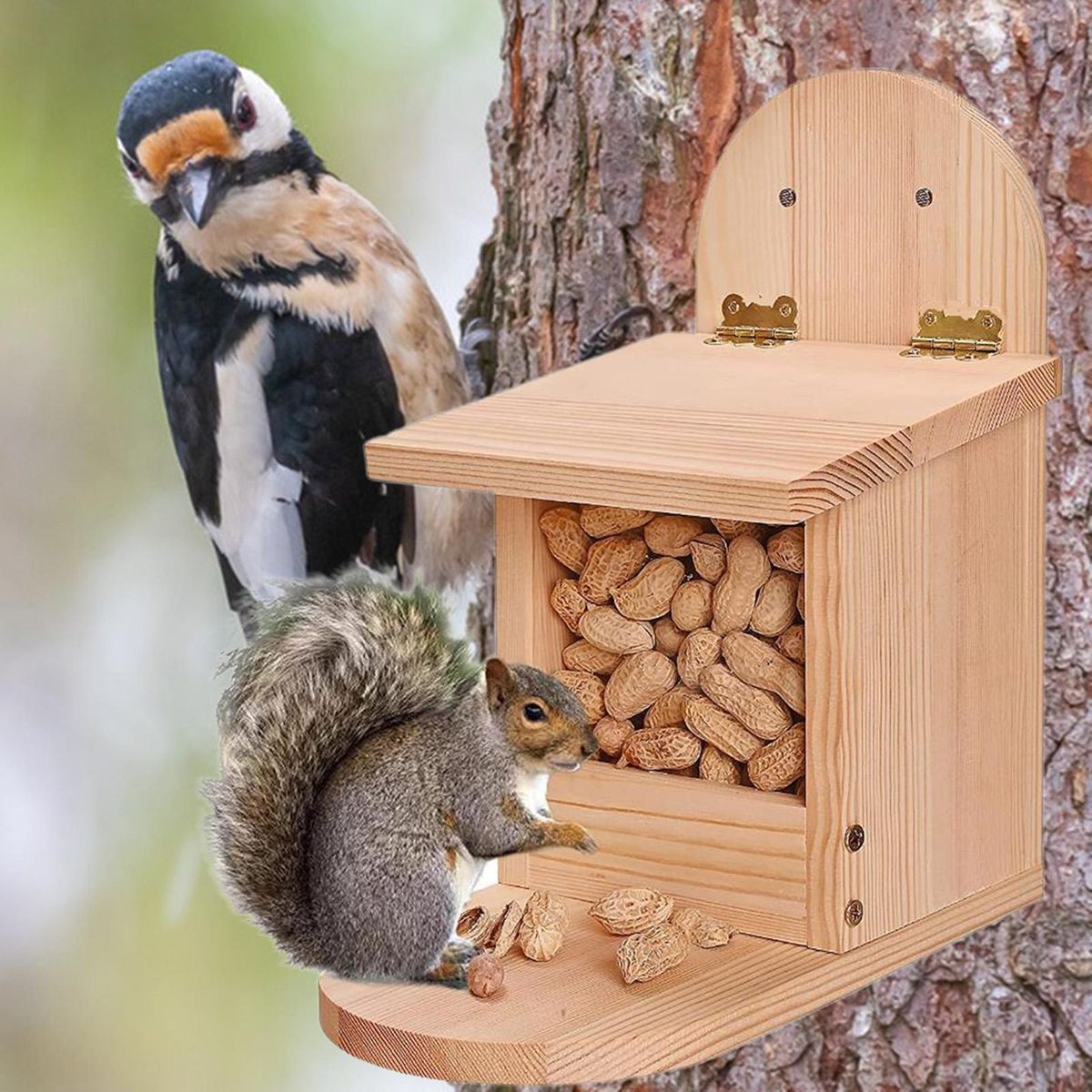 Squirrel Food Container Natural Wooden Squirrel Feeder Fine Pet Birdhouse Wooden Color
