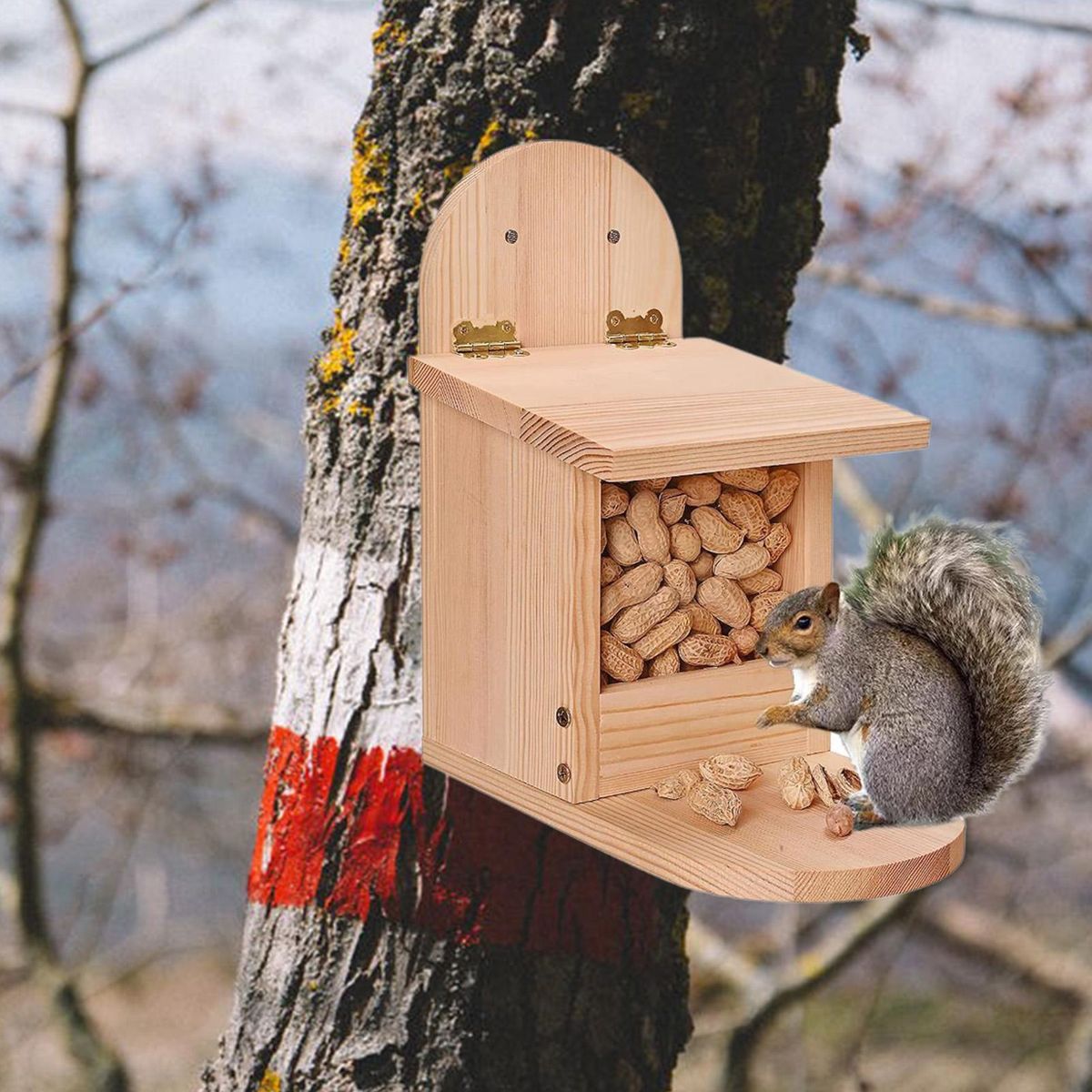 Squirrel Food Container Natural Wooden Squirrel Feeder Fine Pet Birdhouse Wooden Color