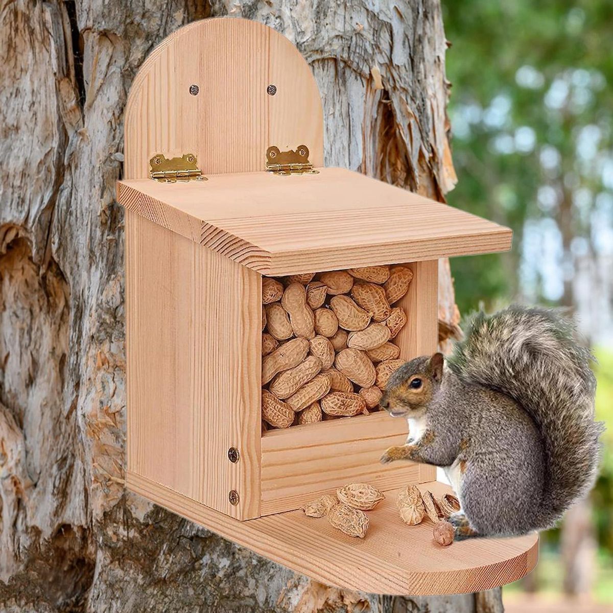 Squirrel Food Container Natural Wooden Squirrel Feeder Fine Pet Birdhouse Wooden Color