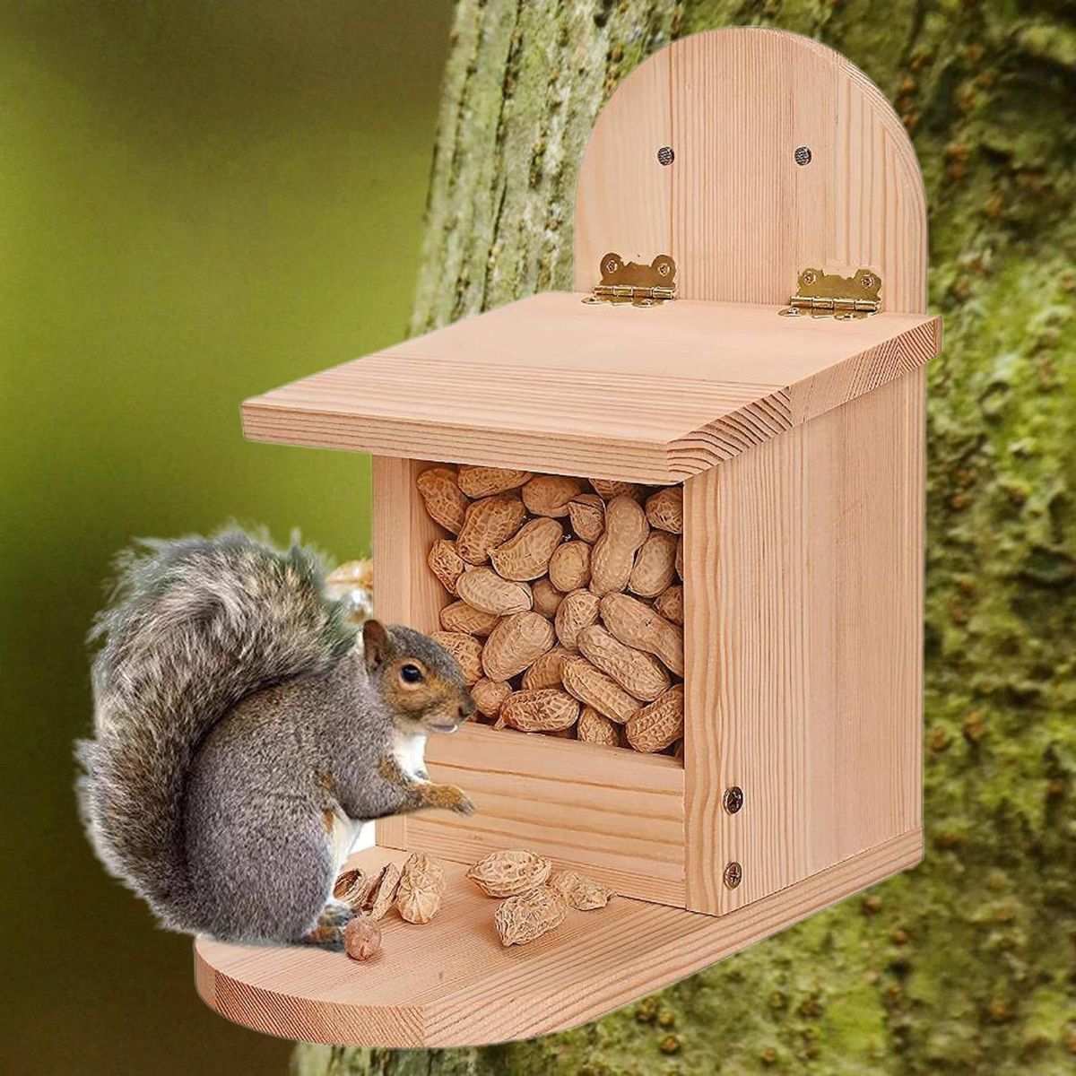 Squirrel Food Container Natural Wooden Squirrel Feeder Fine Pet Birdhouse Wooden Color