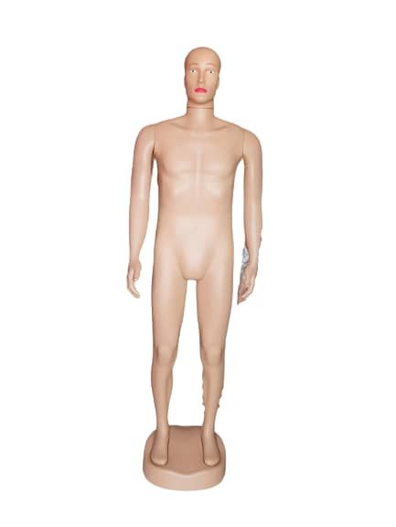 Full Body  Male Mannequin (Straight)