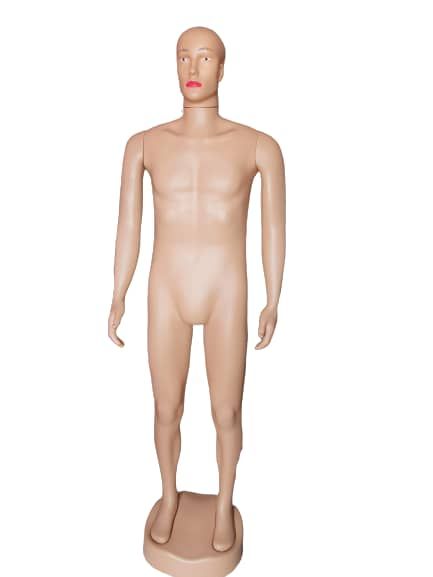Full Body  Male Mannequin (Straight)