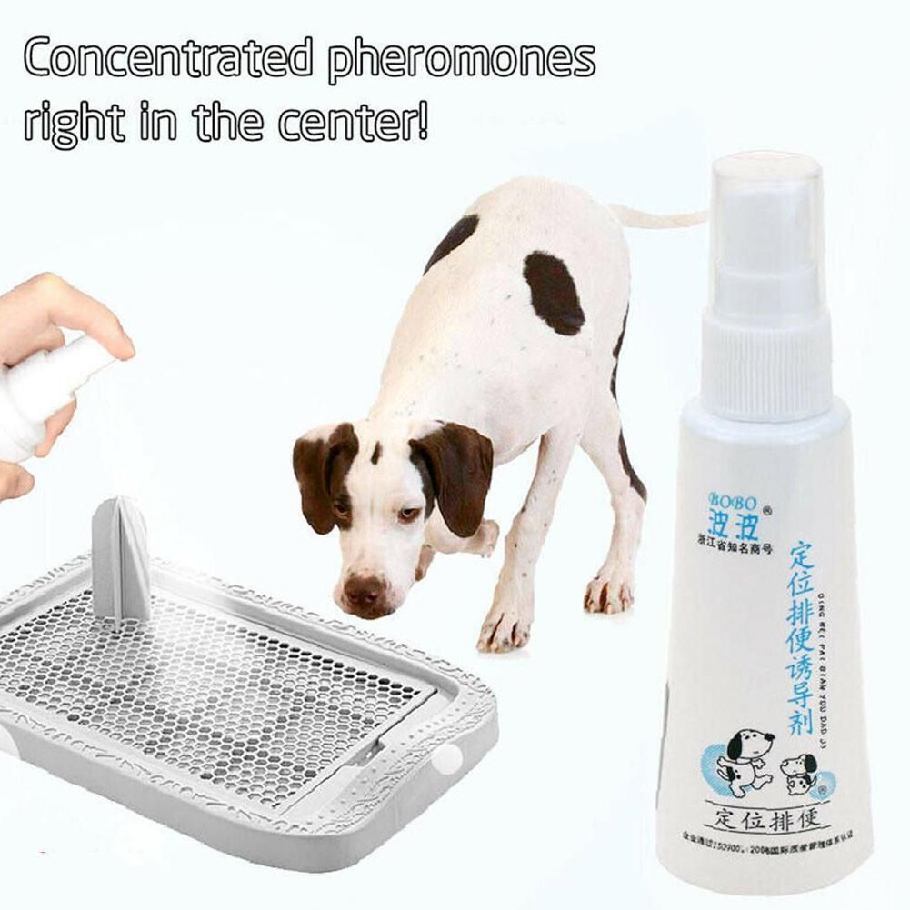 60ML Pet Dog Spray Inducer Dog Toilet Training Puppy