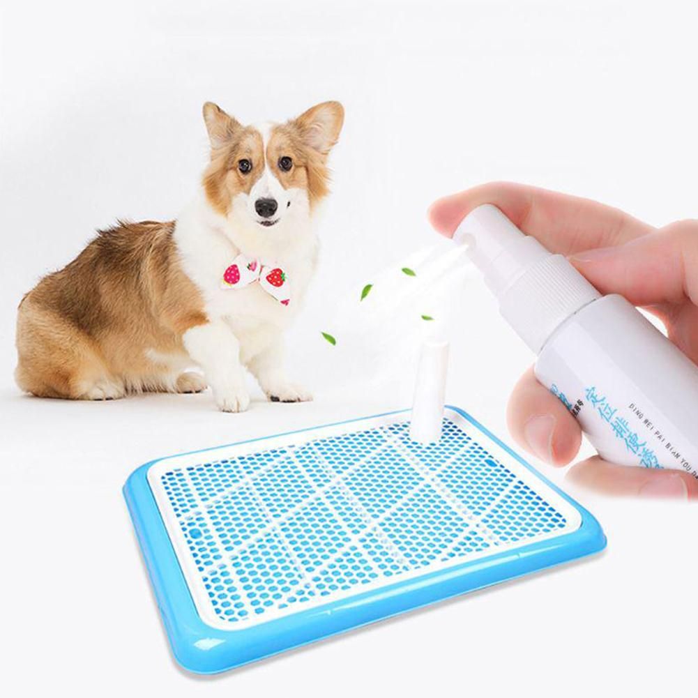 60ML Pet Dog Spray Inducer Dog Toilet Training Puppy