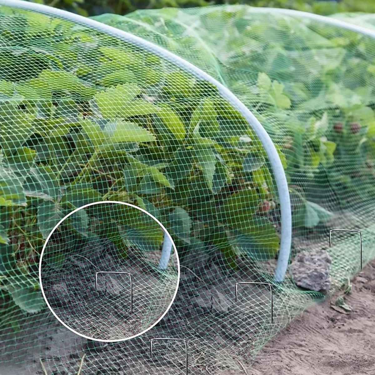 1 Set Garden Anti-bird Mesh Orchard Garden Anti-bird Netting Flower Protector Mesh Green