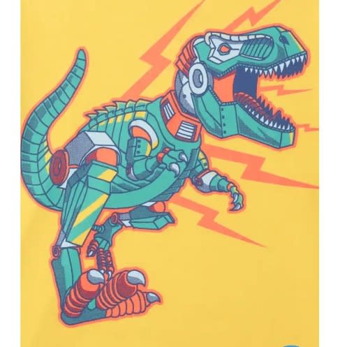 Boys' Dinosaur Flames Graphic T-shirt- Yellow